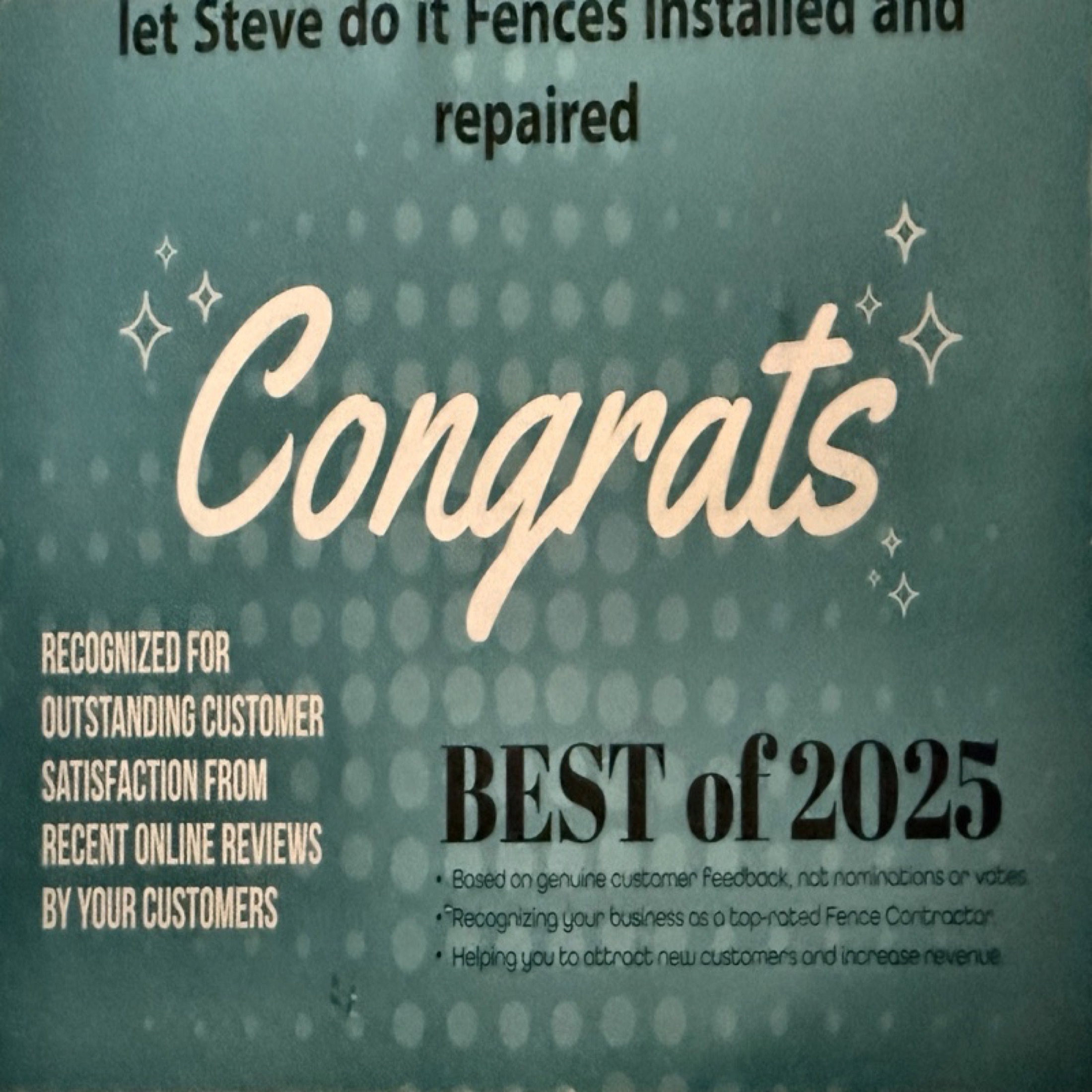 Best of 2025 award recognizing Let Steve Do It for outstanding customer satisfaction