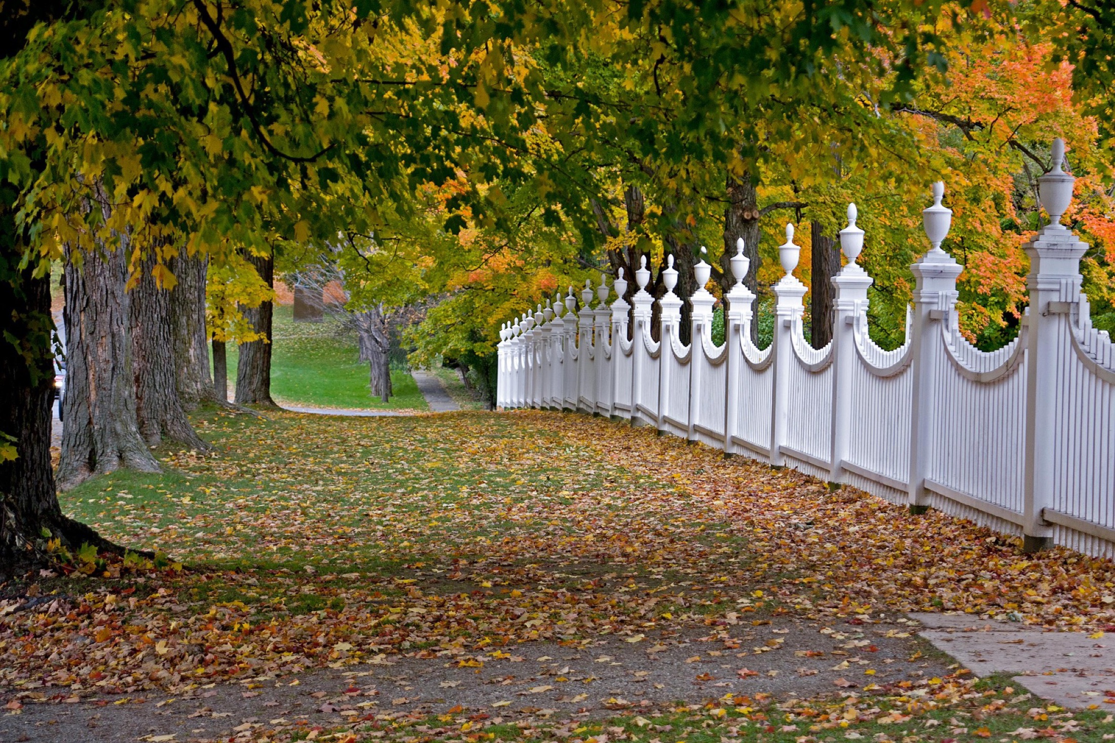 White decorative fence running through a tree-lined fall landscape